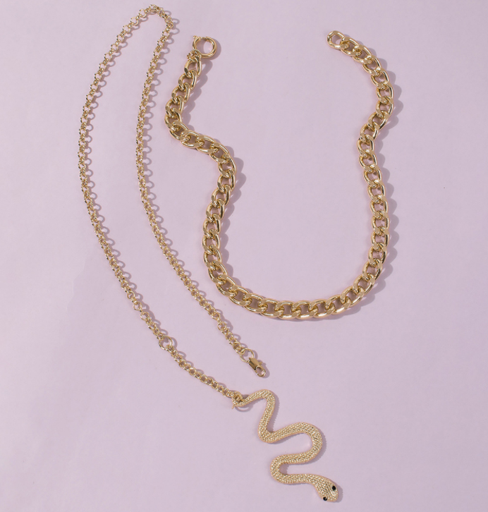 Stylish Snake Chain Necklace